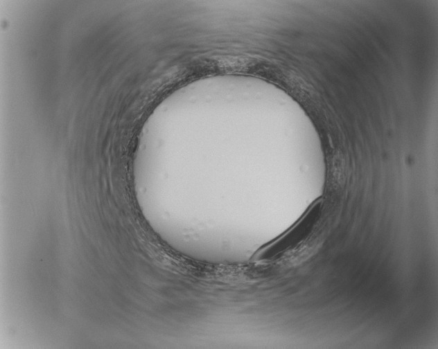 X0000053011249200507291659