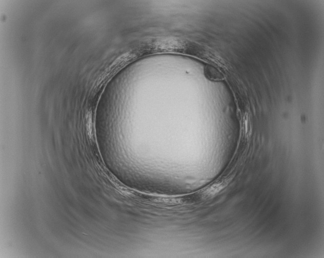 X0000053011251200507291659