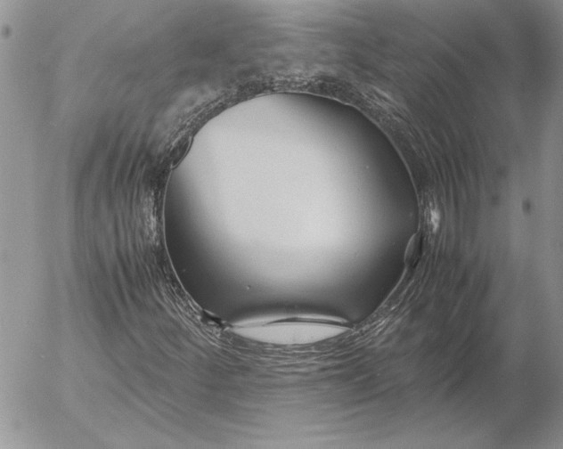 X0000053011252200507291659