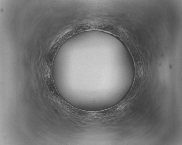 X0000053011253200507291659