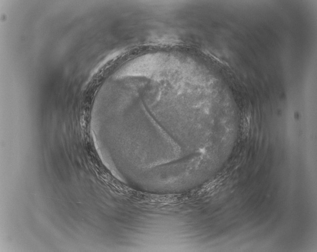 X0000053011254200507291659