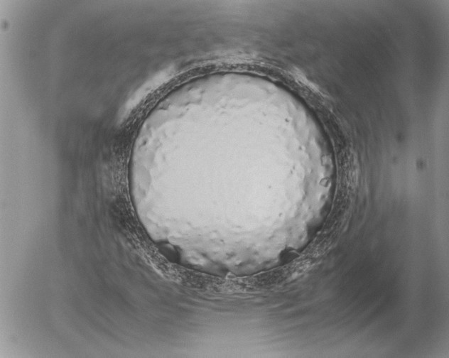 X0000053011255200507291659