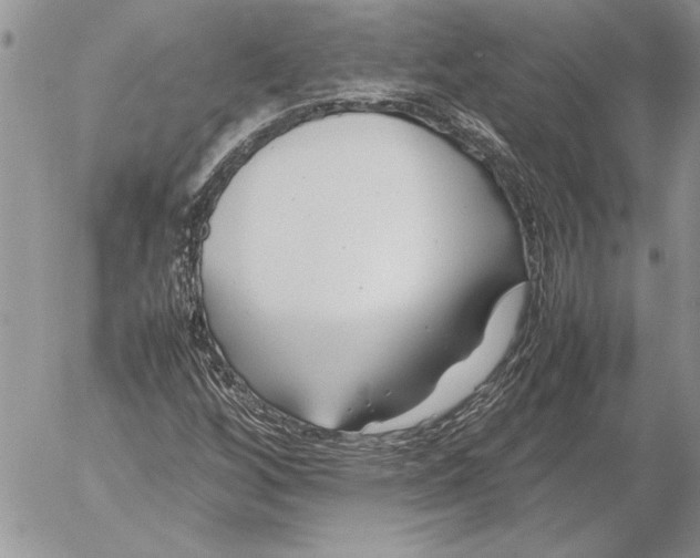 X0000053011256200507291659