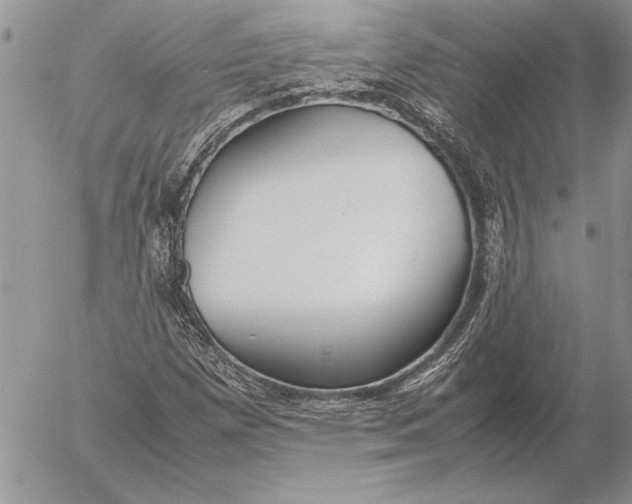 X0000053011257200507291659