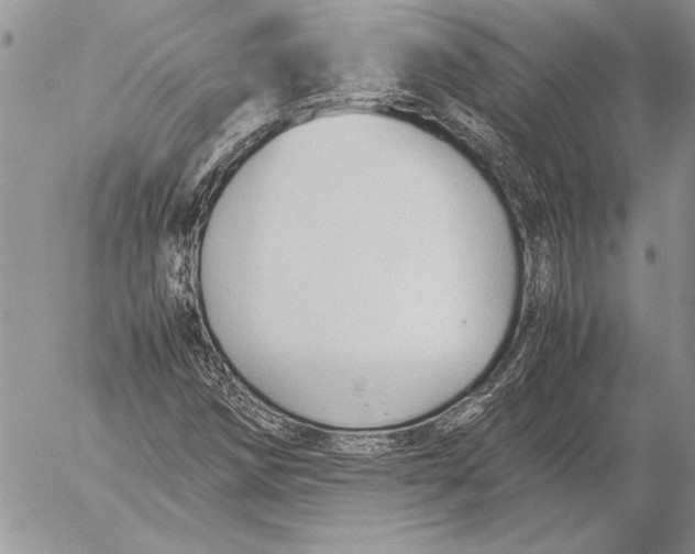 X0000053011258200507291659