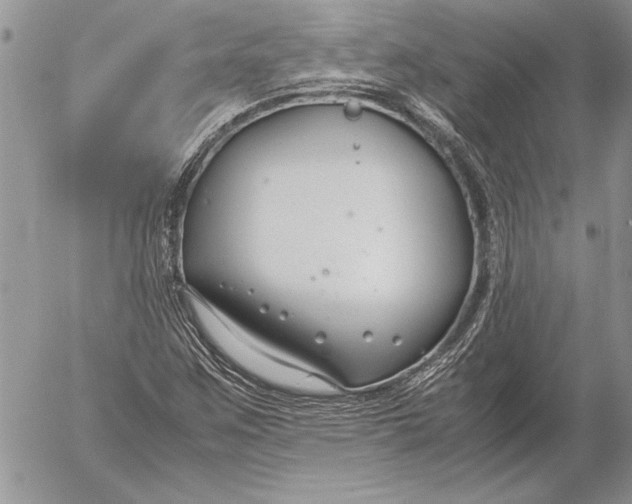 X0000053011259200507291659