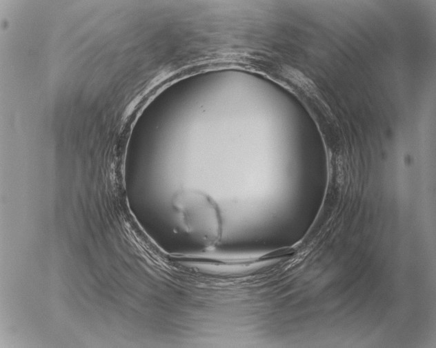 X0000053011260200507291659