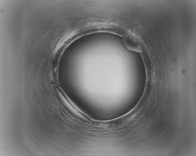 X0000053011261200507291659