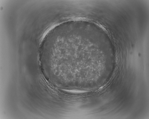 X0000053011263200507291659