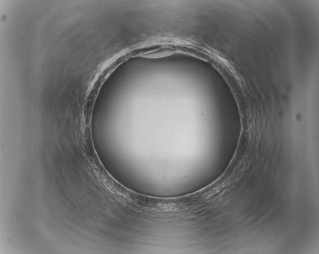 X0000053011264200507291659