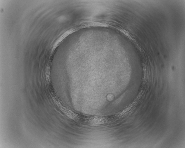 X0000053011266200507291659