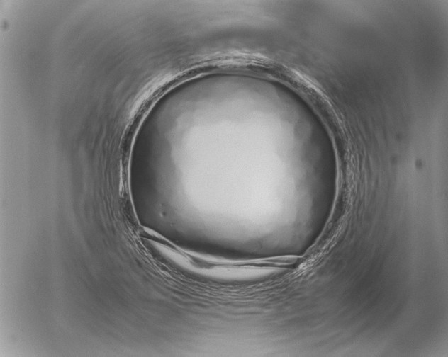 X0000053011267200507291659