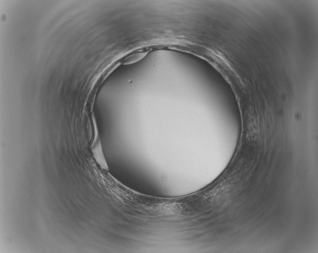 X0000053011268200507291659