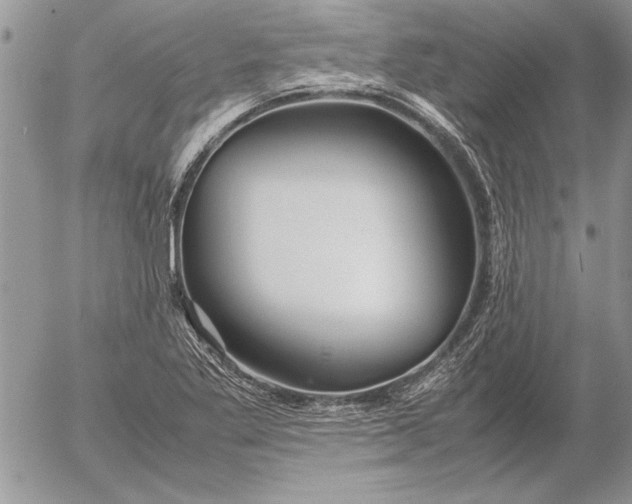 X0000053011269200507291658