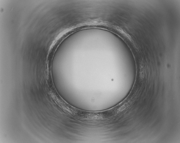 X0000053011270200507291658