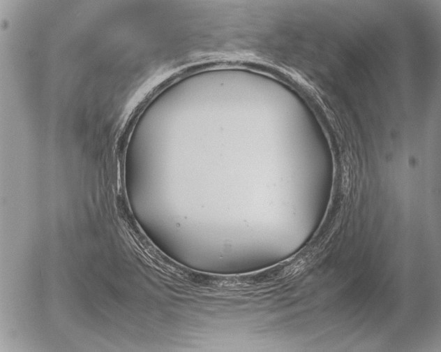 X0000053011271200507291658