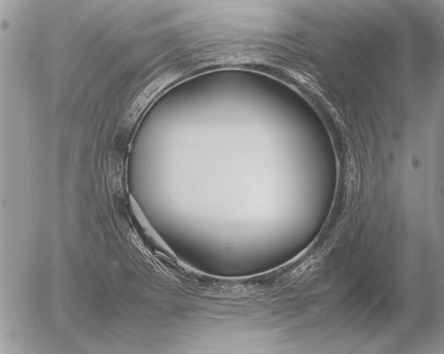 X0000053011273200507291658