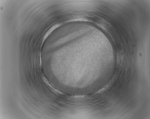 X0000053011274200507291658