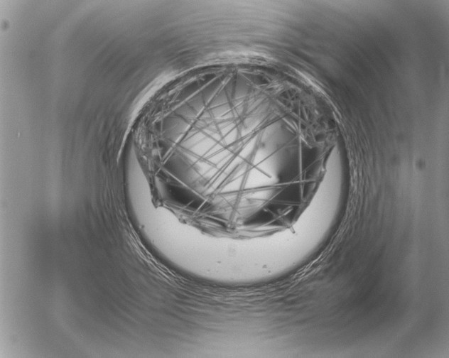 X0000053011275200507291658