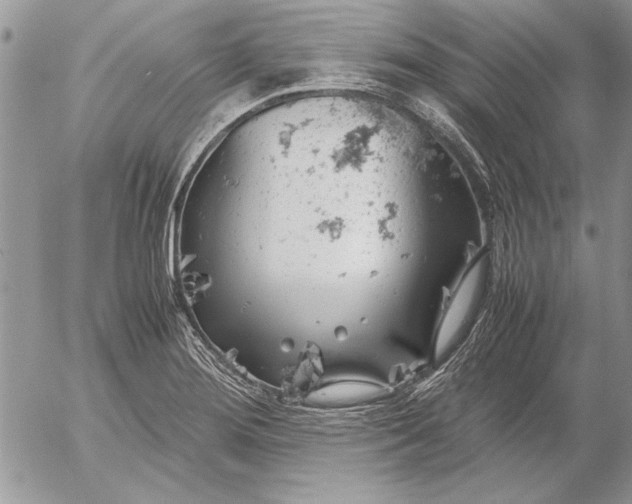 X0000053011276200507291658