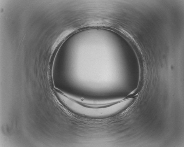 X0000053011277200507291658