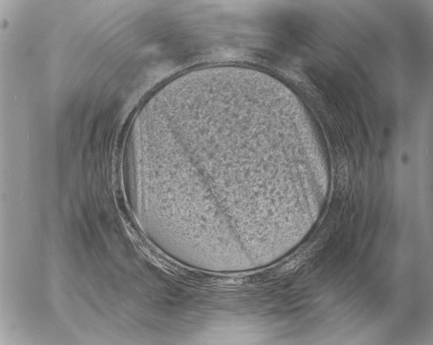 X0000053011278200507291658