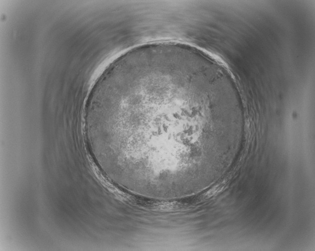 X0000053011279200507291658