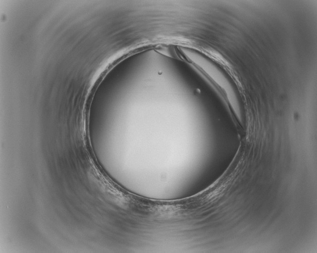 X0000053011280200507291658