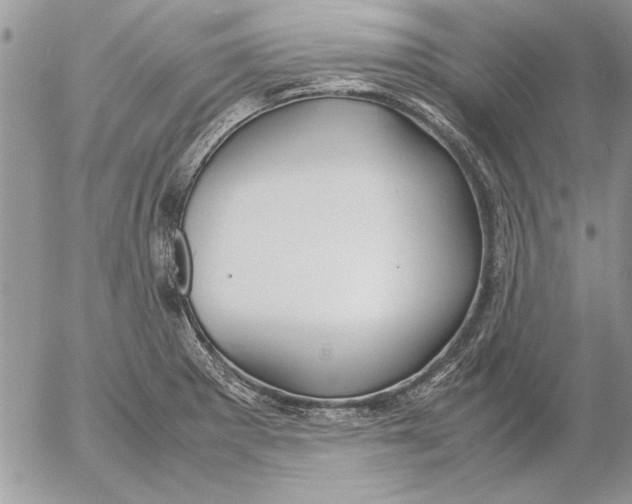 X0000053011281200507291658