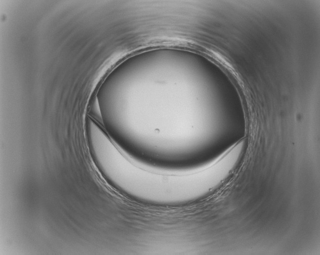 X0000053011283200507291658