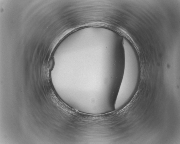 X0000053011284200507291658