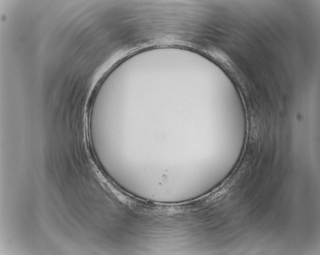 X0000053011286200507291658