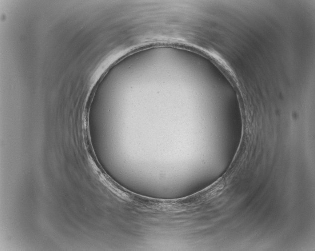 X0000053011287200507291658