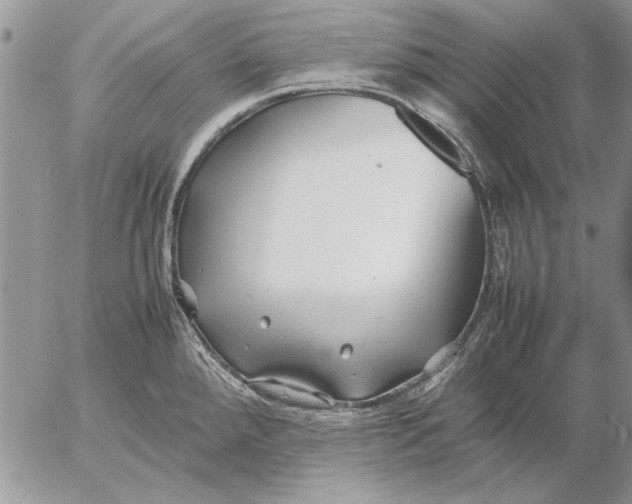 X0000053011288200507291658