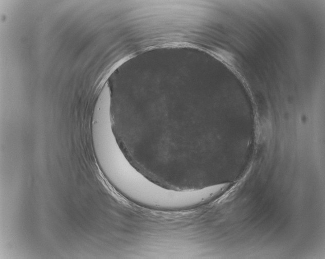 X0000053011289200507291658