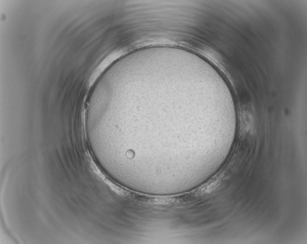 X0000053011290200507291658