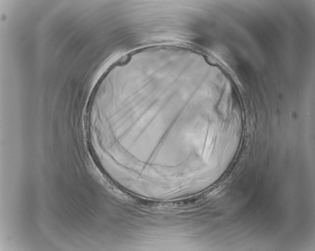 X0000053011291200507291658