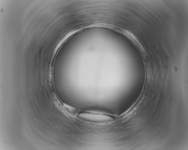 X0000053011292200507291658