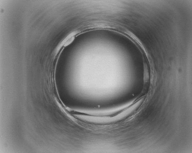 X0000053011293200507291658