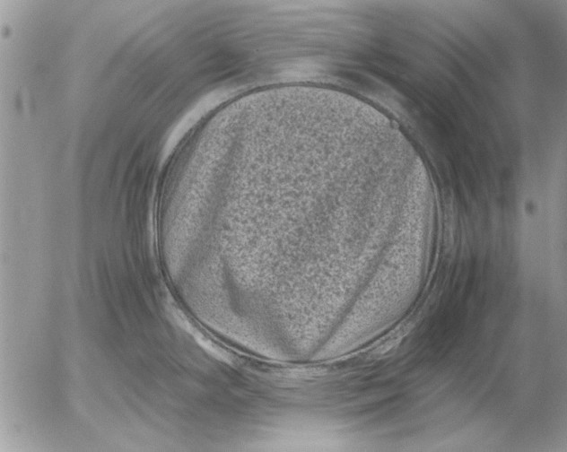 X0000053011294200507291658