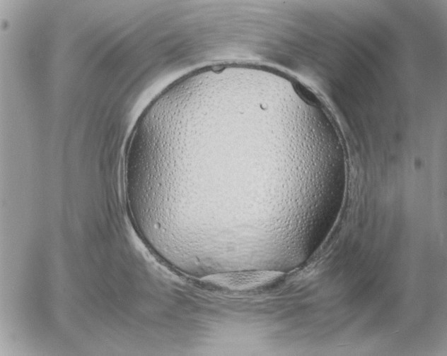 X0000053011295200507291658