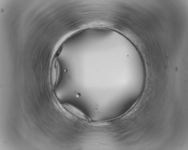 X0000053011296200507291658