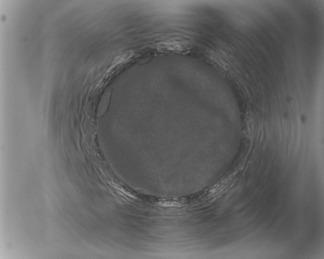 X0000053011297200507291657