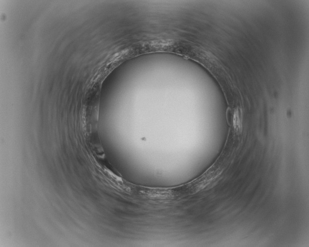 X0000053011299200507291657