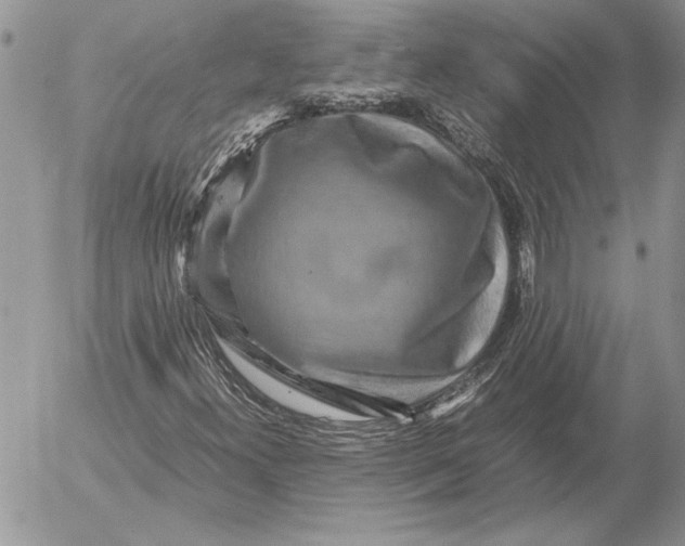 X0000053011300200507291657