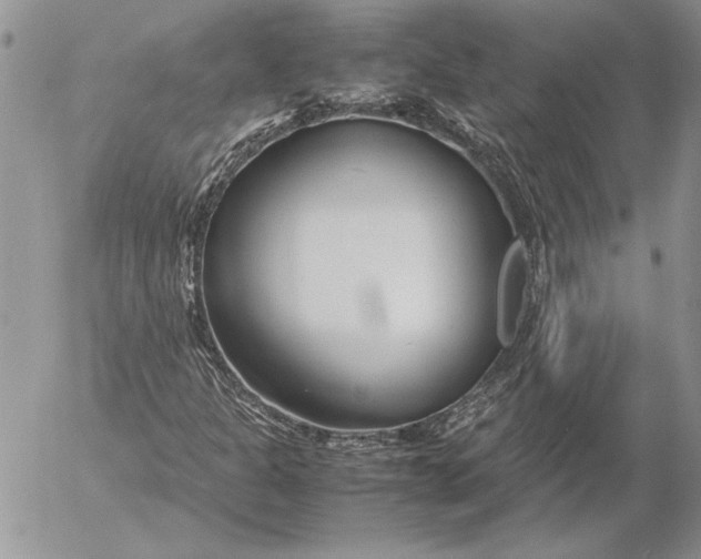 X0000053011301200507291657