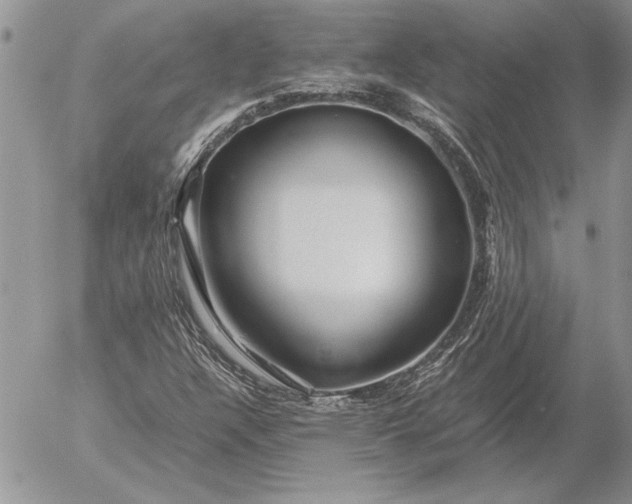 X0000053011304200507291657