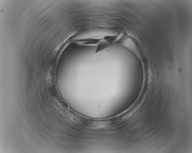 X0000053011305200507291657