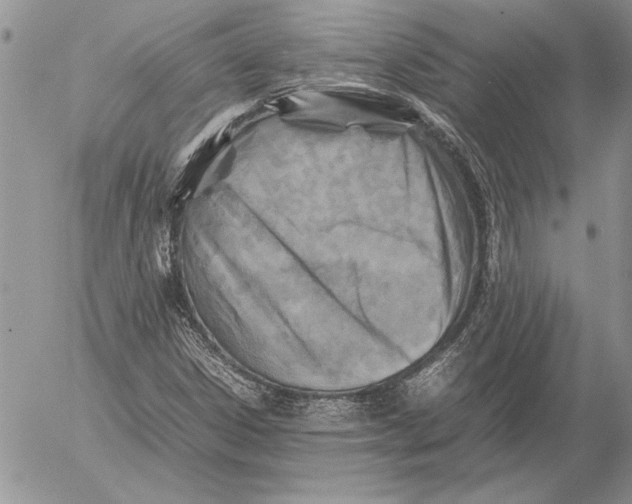 X0000053011306200507291657