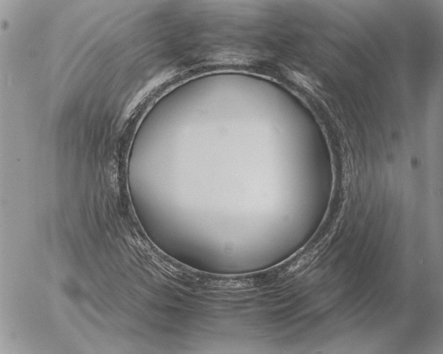 X0000053011307200507291657